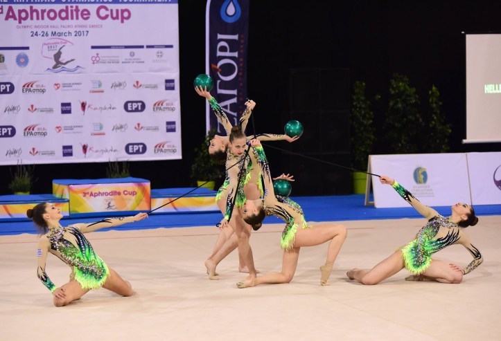 25488204_715245622012521_4956352387390699731_o