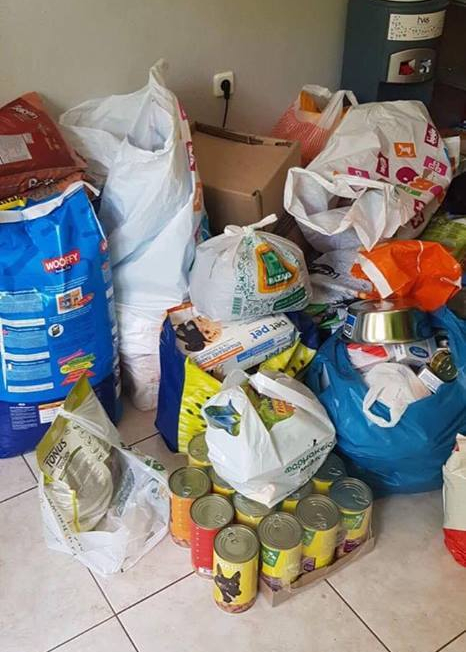 37641056_10156482865062088_1800701619084460032_n