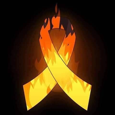 37687829_225265904977622_1848328073343139840_n