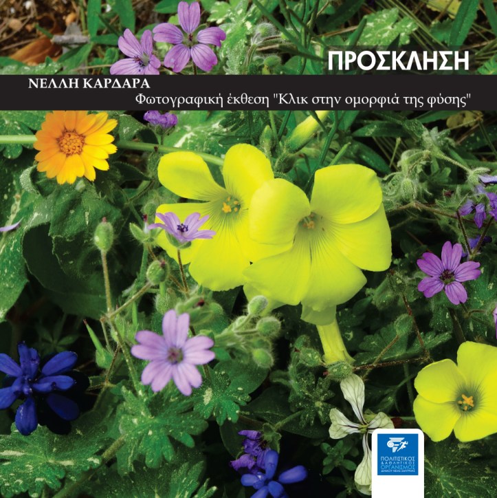 prosklisi nelly kardara-17x17.cdr