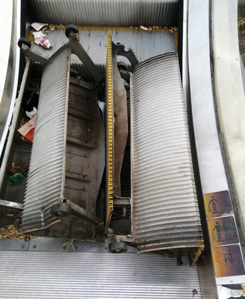 70504887_10157716437443769_7709653569779007488_n