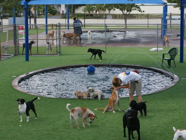 75349021_531069554397254_6696135231742672896_n